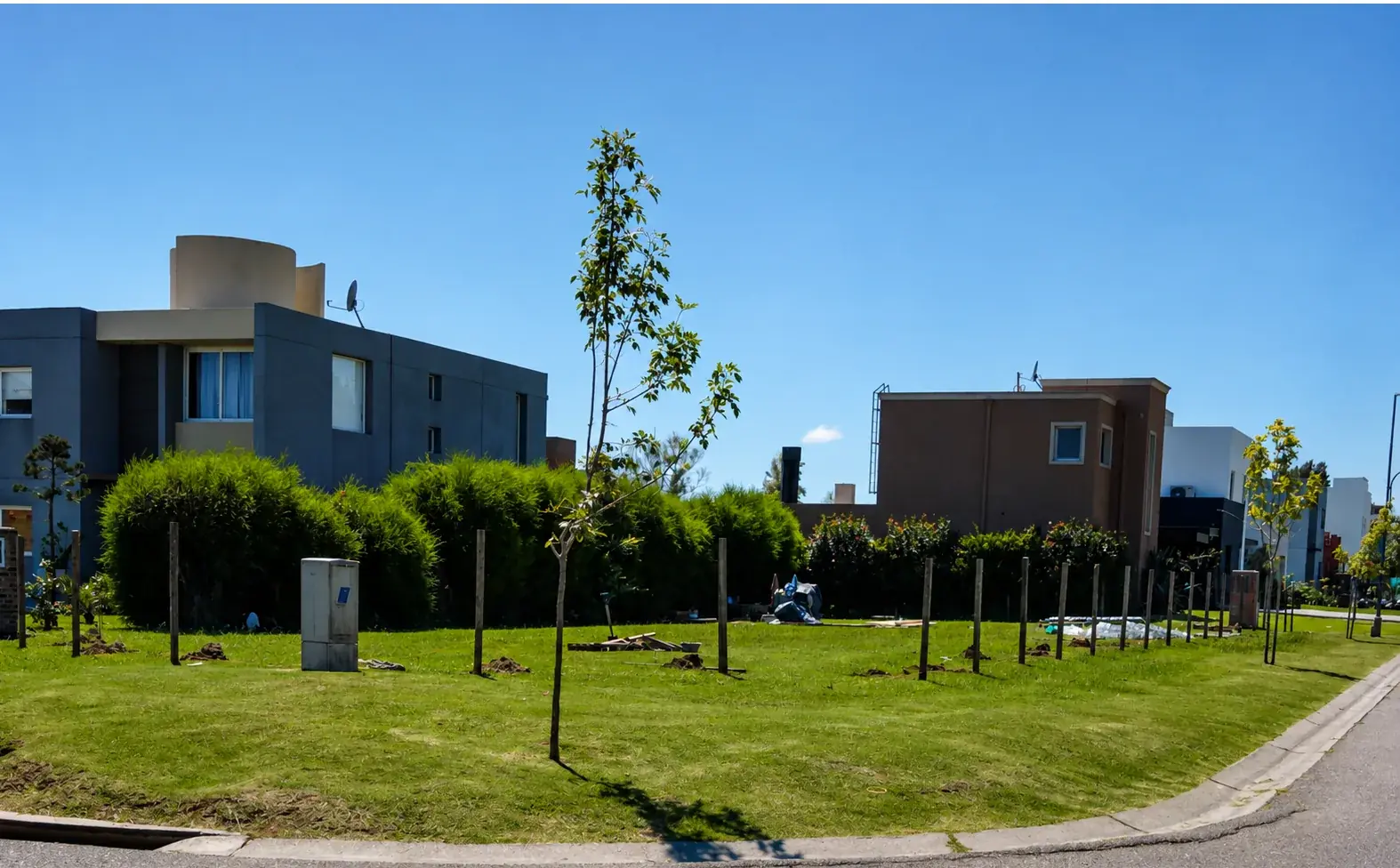 Lote al inicio, antes de comenzar la vivienda